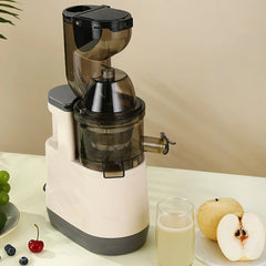 500W Blender for Kitchen Fruit Mixers, Portable Electric Juicer