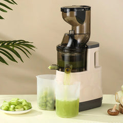 500W Blender for Kitchen Fruit Mixers, Portable Electric Juicer