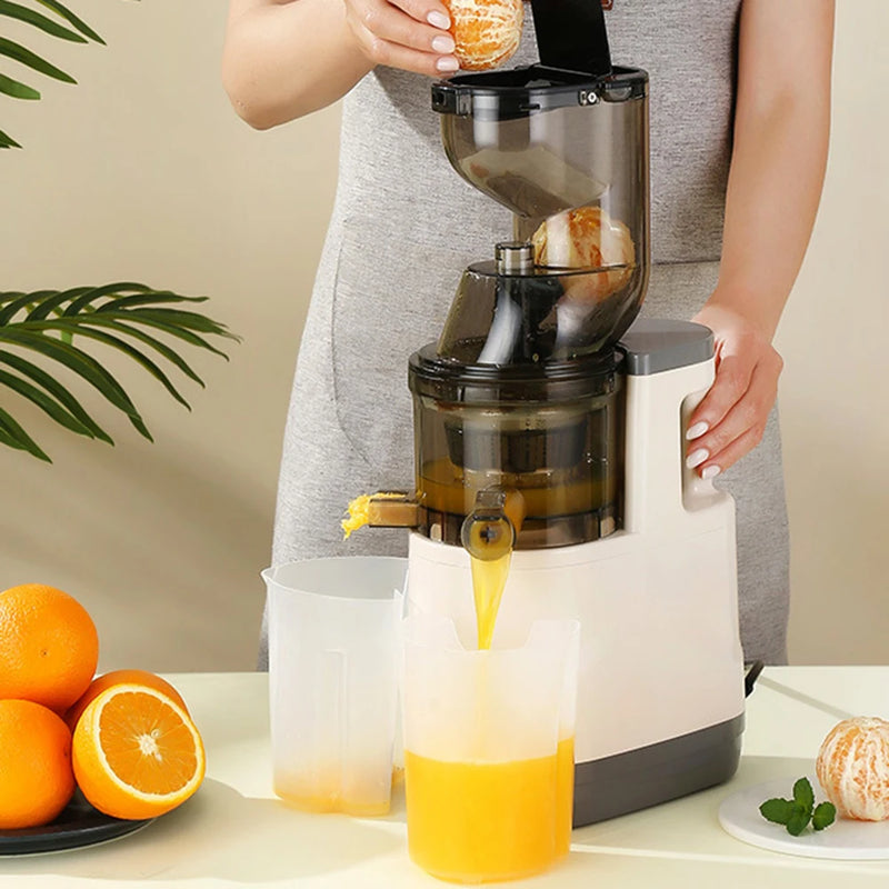 500W Blender for Kitchen Fruit Mixers, Portable Electric Juicer